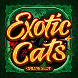 slot image